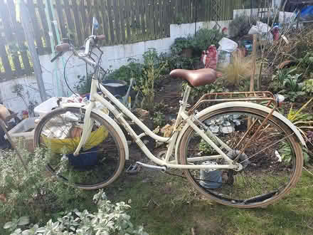 Photo of free Ladies bike (Ashbourne DE6 1) #1