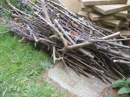 Photo of free Firewood - Kindling (Kesgrave IP5) #1