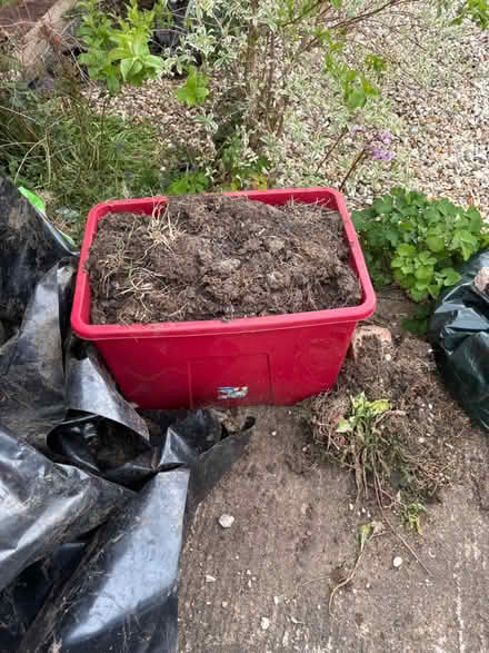 Photo of free Box of soil / earth (Abingdon OX14 2DQ) #1