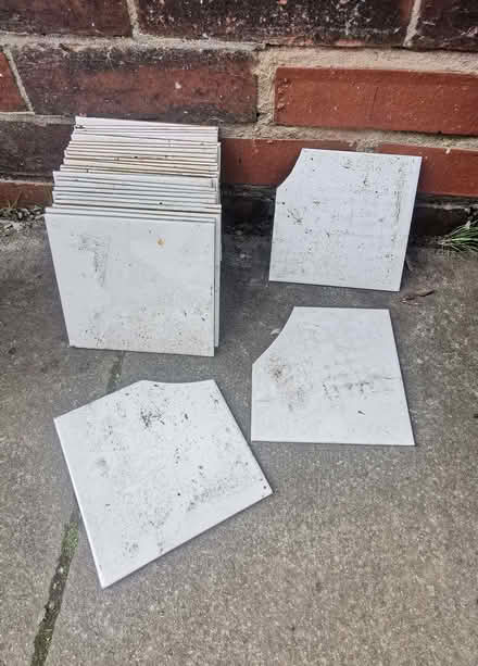 Photo of free Wall Tiles (Westhoughton BL5) #1