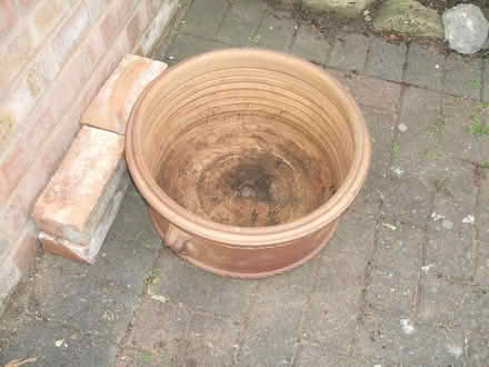 Photo of free Garden planter (Molesey KT8) #1