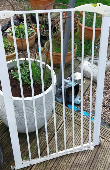 Photo of free Lindam Tall Baby gate / dog gate (white) (Middleton LS10) #1