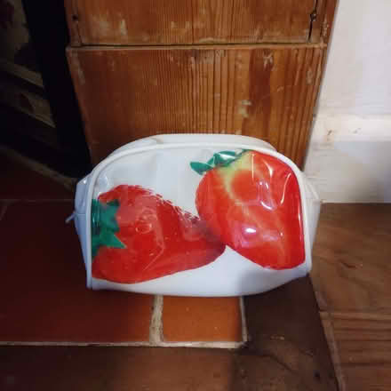 Photo of free Small Pencil Case/Sponge Bag Etc (Winchester SO23) #1