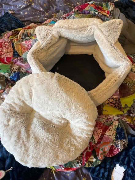 Photo of free Cat bed (SW18) #4