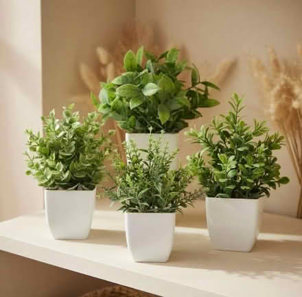 Photo of Artificial Indoor or Outdoor plants (Florence Park OX4) #3