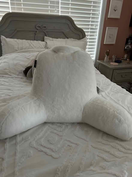 Photo of free Buddy Pillow (milton, derry and scottl) #1