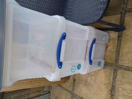 Photo of free Three plastic storage boxes (Epping CM16) #2