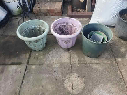 Photo of free Garden pots/canes/plastic pots (Ashbourne DE6 1) #4