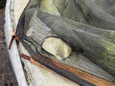 Photo of free 10ft Trampoline (Springfield BL2) #2