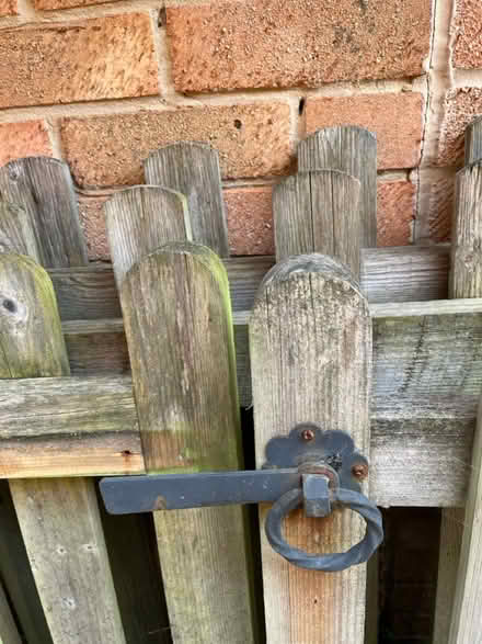 Photo of free Fencing & Gates (Titchfield Common PO14) #4