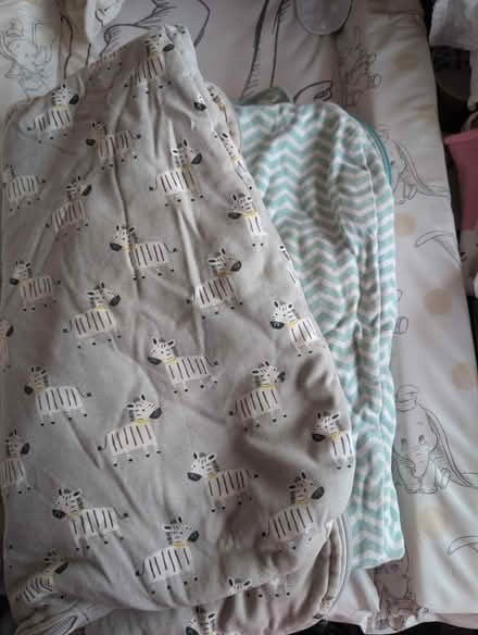 Photo of free Collection of sleep sacks (Clapham MK41) #1