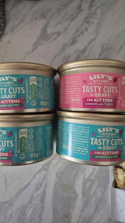 Photo of free Kitten/Cat wet food in gravy (8 items) (Figge's Marsh CR4) #2