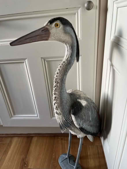 Photo of free Garden Heron (Keighley BD20) #1