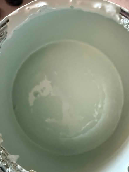 Photo of free Green wall paint (Drayton Park N5) #2