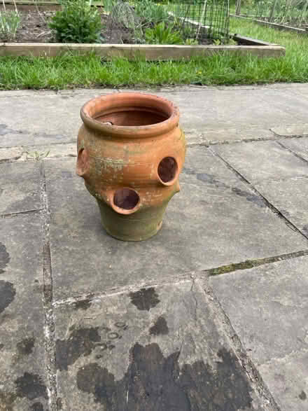 Photo of free Strawberry planter (WR13 Berrow) #1