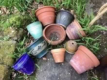 Photo of free Plant Pots (Thornhill S33) #2