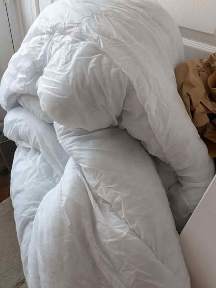Photo of free Duvets king size and pillow (Mulbarton NR14) #1