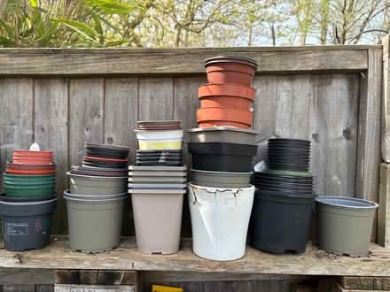 Photo of free Plastic plant pots (Hooks Cross SG14) #1