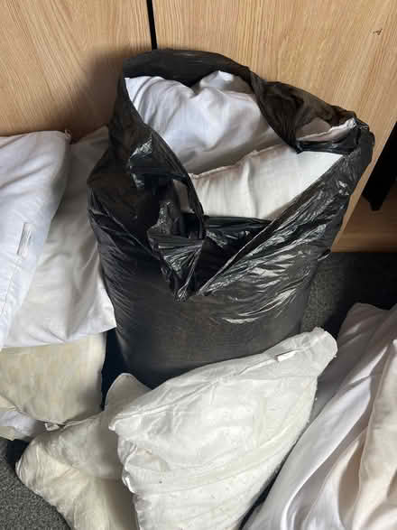 Photo of free Old stained pillows + single duvet (Norwich) #2