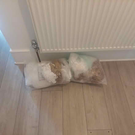 Photo of free Moving boxes and packing material (N15 3LU) #1