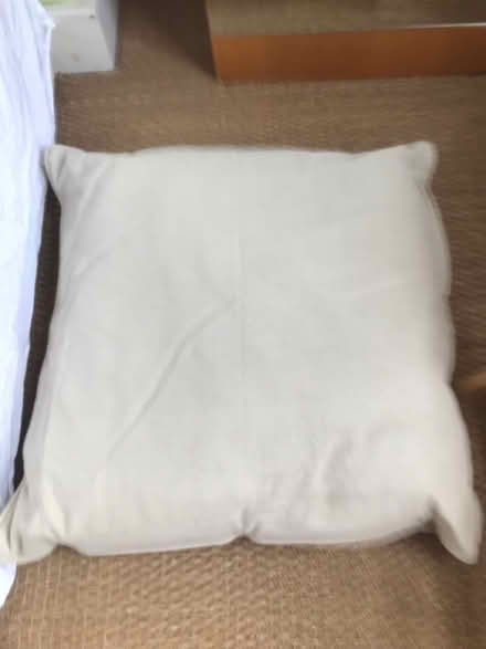 Photo of free 6 large cushions (Shepherds Bush) #1