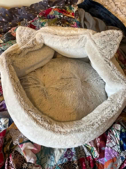 Photo of free Cat bed (SW18) #1