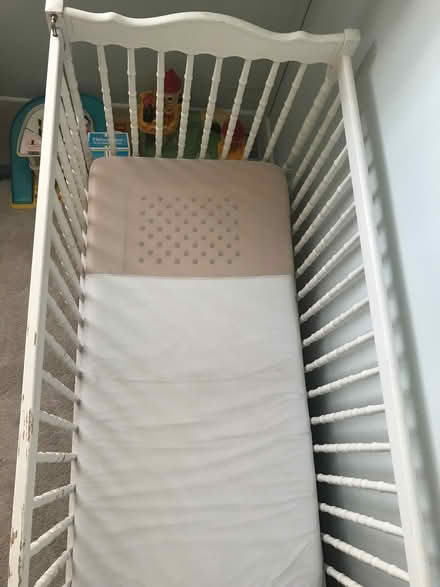 Photo of free Cot with drop down side and accessories (Ledbury HR8) #3