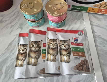 Photo of free Kitten/Cat wet food in gravy (8 items) (Figge's Marsh CR4) #1