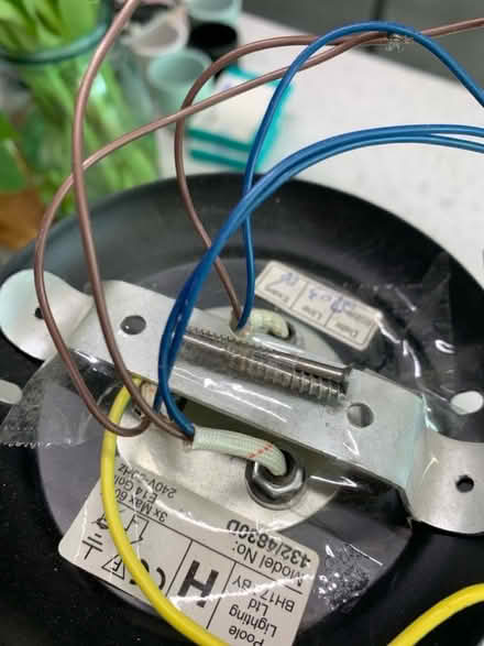 Photo of free Ceiling light (Wrington BS40) #4