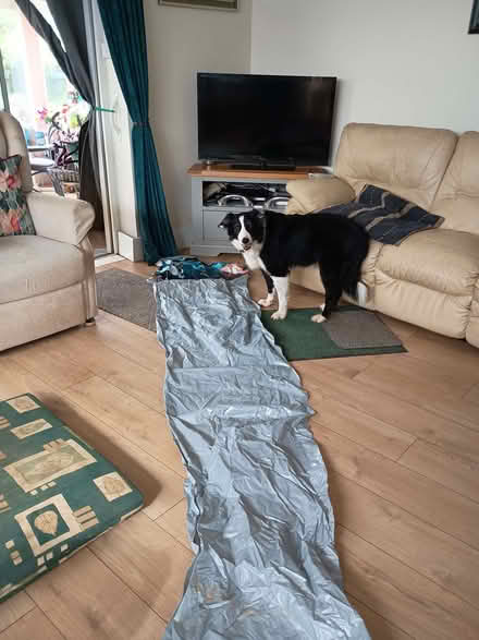 Photo of free Star wars Slip & Slide (Billing Road East area NN3) #2