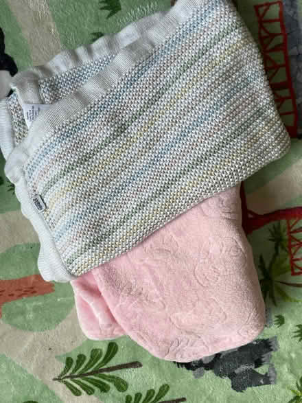 Photo of free 2 Baby Blankets (Ravenscourt Park W6) #1