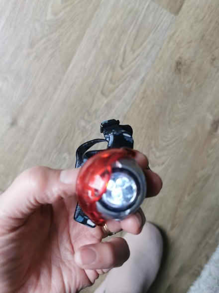 Photo of free Head Torch (Newnham RG27) #4