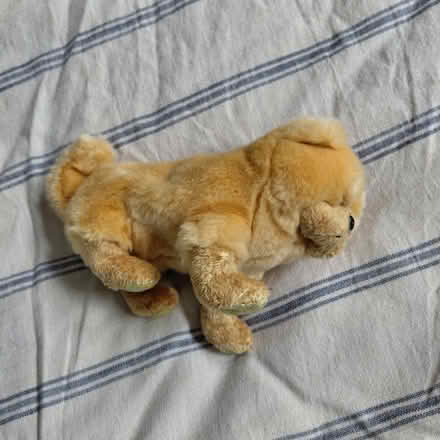 Photo of free Zodiac Dog beanie baby (no tags) (Suju's on Decoto Road) #1