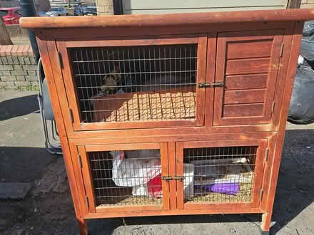 Photo of free Rabbit cage (Nunhead SE15) #1