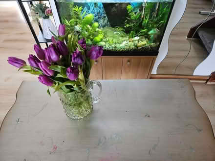 Photo of free Table (Gracemount EH16 6NF) #2