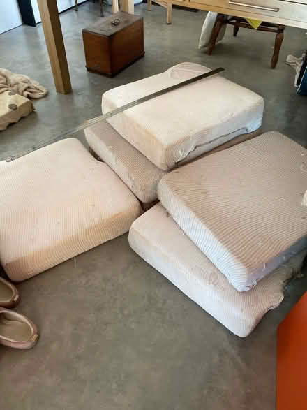 Photo of free Cushion pads (Wigton) #2