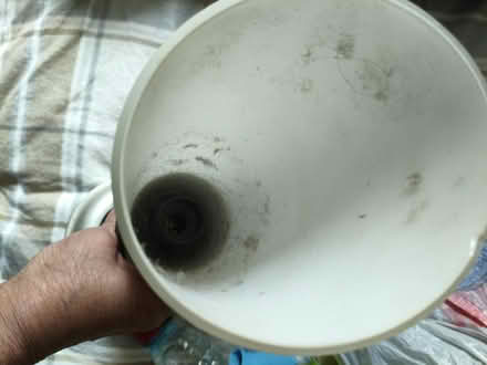 Photo of free Bedside lamp (Vauxhall SW8) #3