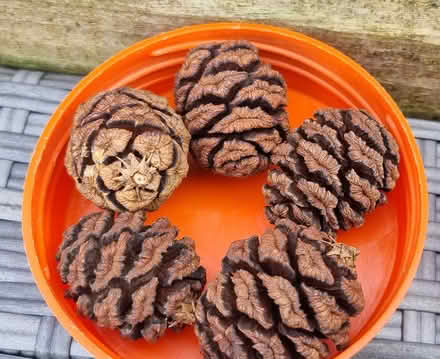 Photo of free Craft items (WA4) #1