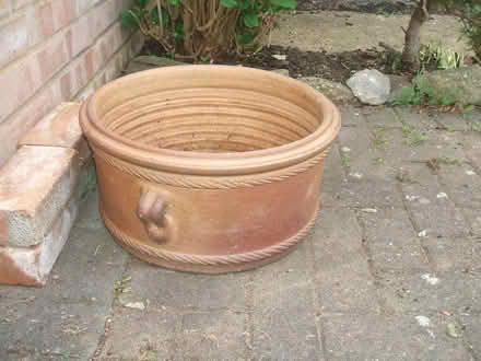 Photo of free Garden planter (Molesey KT8) #2