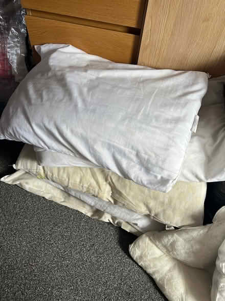 Photo of free Old stained pillows + single duvet (Norwich) #3