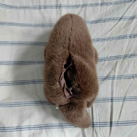 Photo of free Plush otter pupper (Suju's on Decoto Road) #3