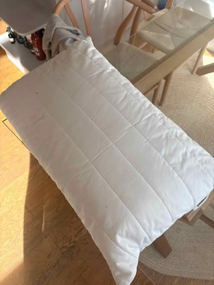 Photo of free Ikea pillow rumsmalva (Notting Hill W9) #1