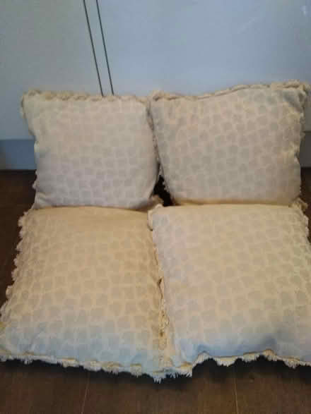 Photo of free 4 Cushions 38 x 38cm pale green and cream (Millhouses S7) #1