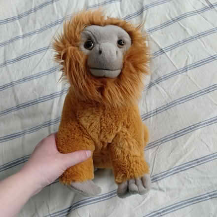 Photo of free FAO Schwartz plush monkey (Suju's on Decoto Road) #3