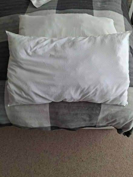 Photo of free 2 pillows (Holland on Sea) #3