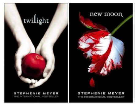 Photo of twilight saga books (3985 Grand ParkDr. Mississauga) #2
