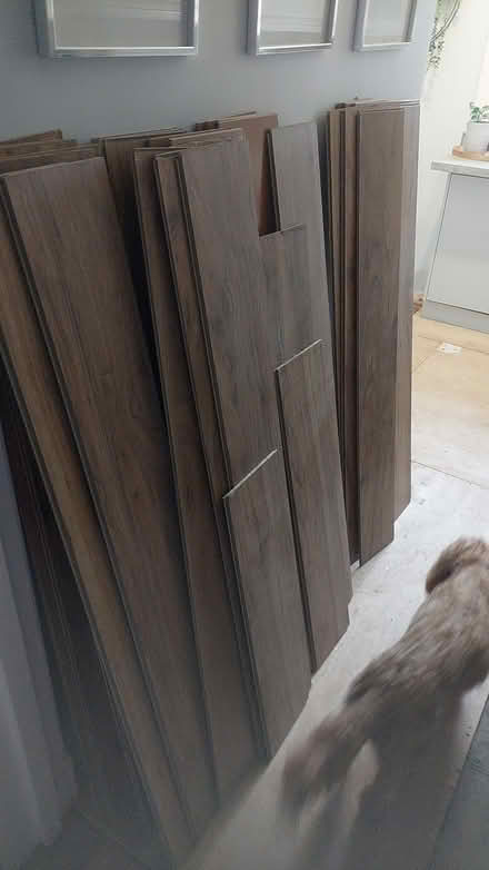Photo of free laminate flooring (Edinburgh EH12) #2