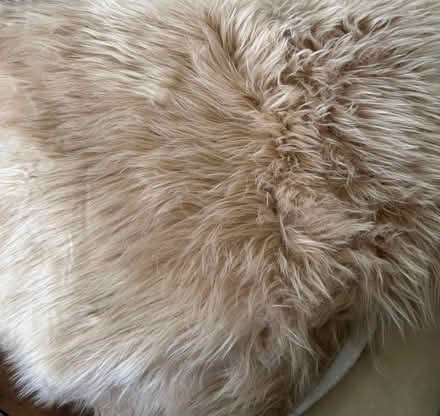 Photo of free Stunning Faux sheepskin rug runner (South Norwood SE25) #1