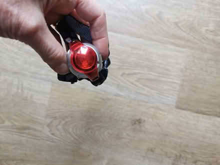 Photo of free Head Torch (Newnham RG27) #3