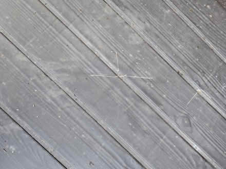 Photo of free Keter garden bench and storage (Rafborough GU14) #2